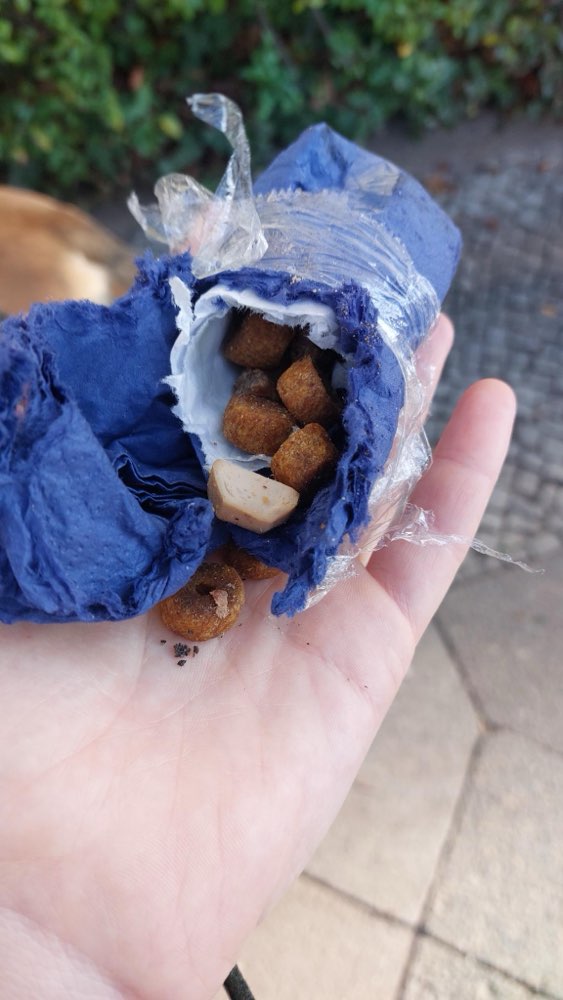 Giftköder-Giftköder-Profilbild