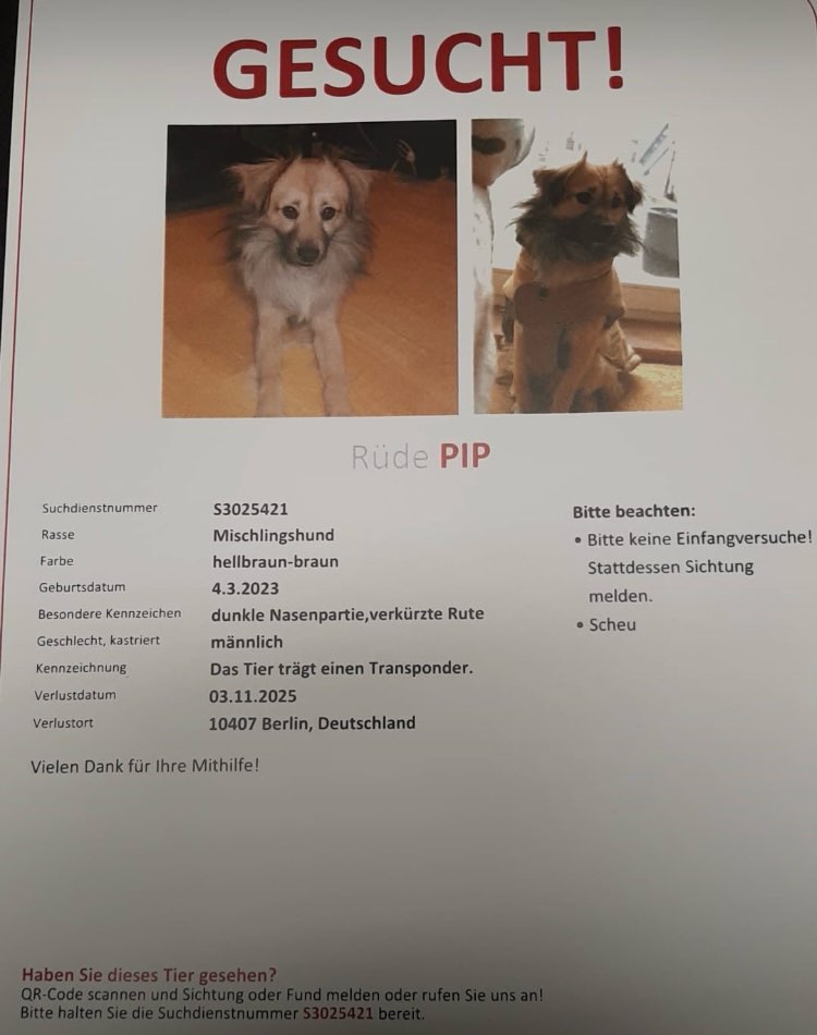 Suchmeldung-Pip-Profilbild