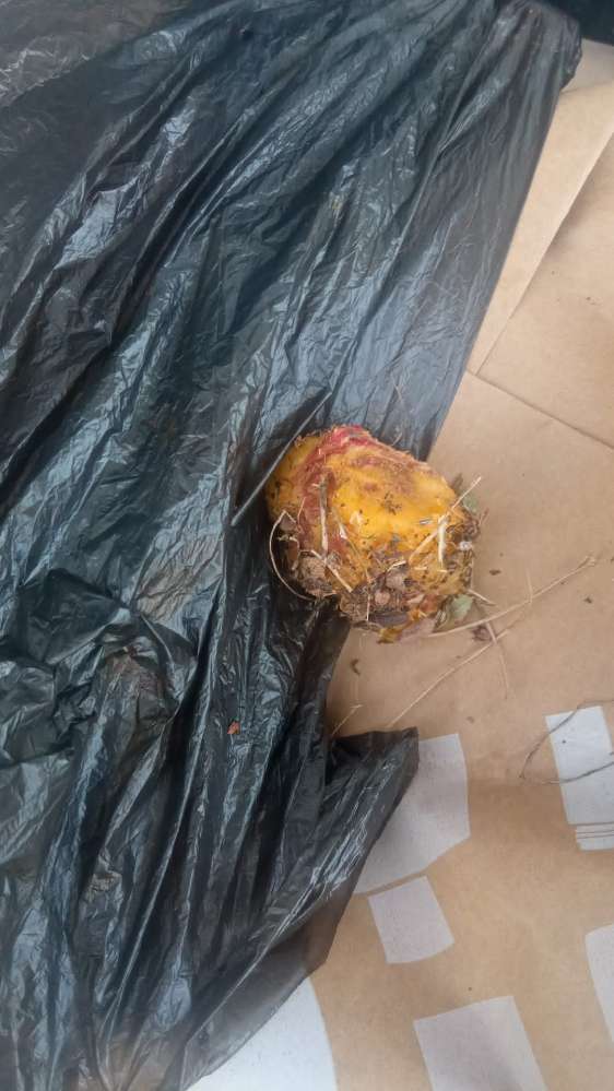 Giftköder-Achtung Giftköder-Profilbild