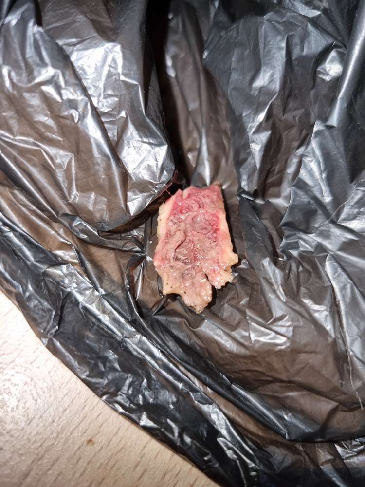 Giftköder-Evtl. Köder-Profilbild