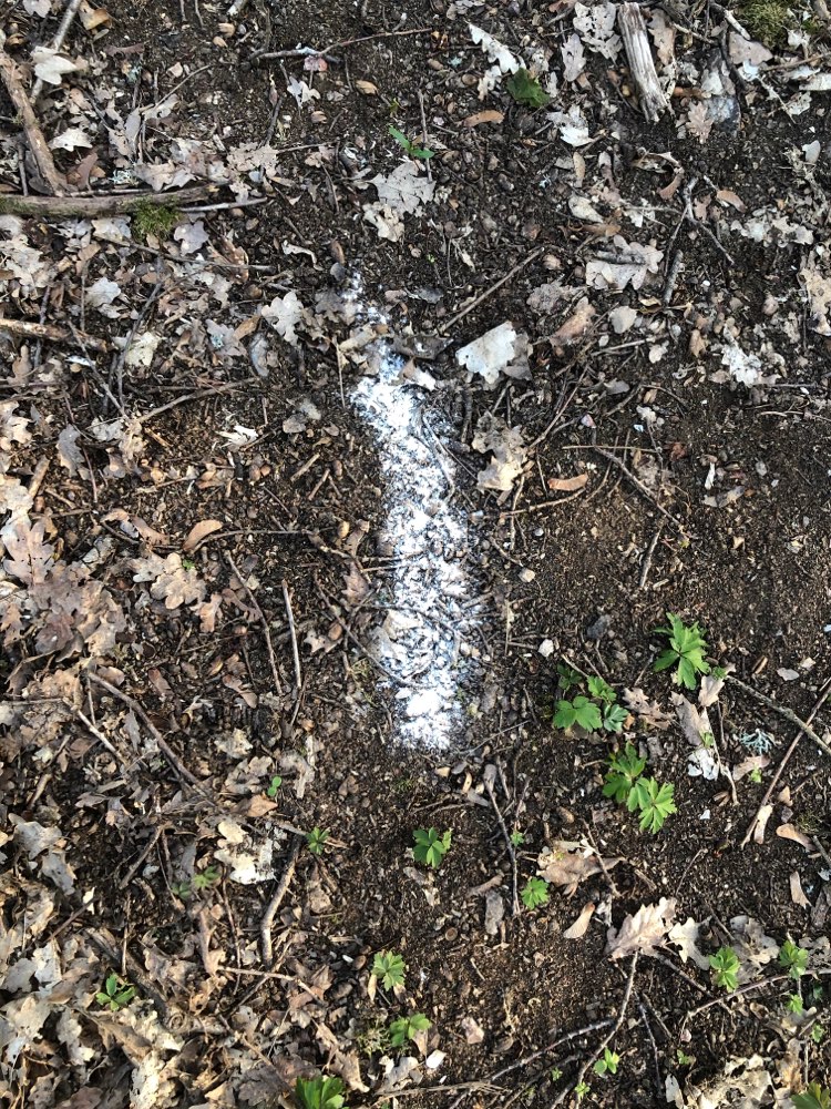 Giftköder-Weißes Pulver-Profilbild