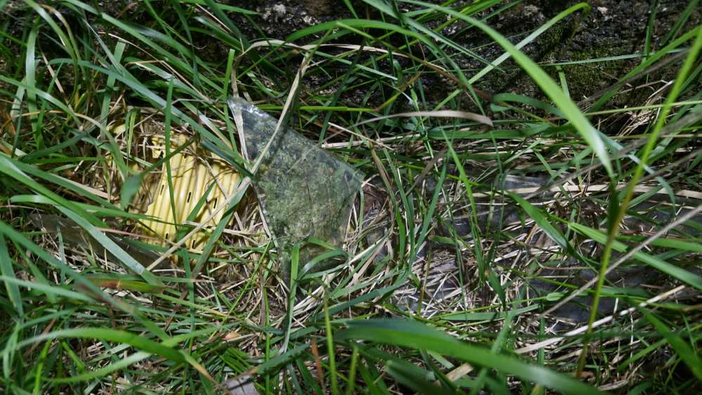 Giftköder-Spitze Glasscherben im Gewächshaus.-Profilbild