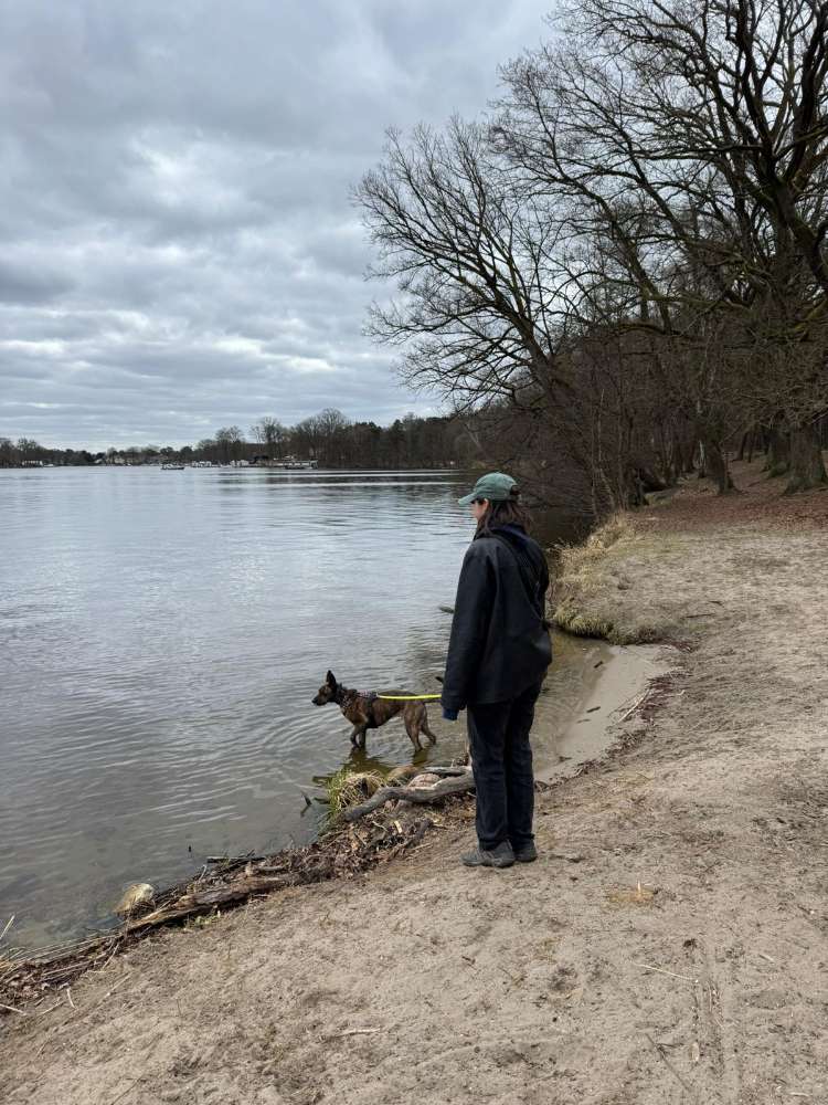 Hundetreffen-Nadel im Heuhaufen - Social Walk-Profilbild