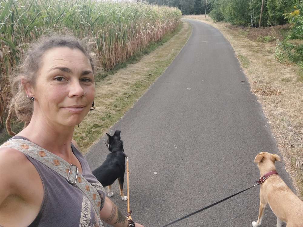 Hundetreffen-Sozial Walk-Profilbild