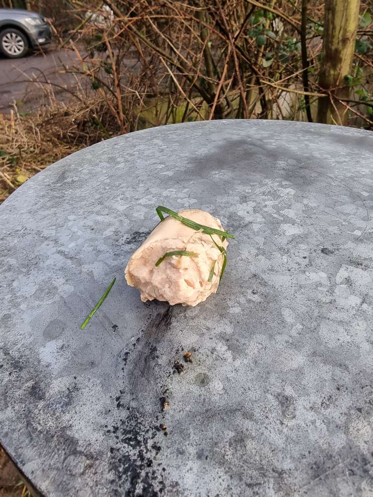 Giftköder-Wurststücke-Profilbild