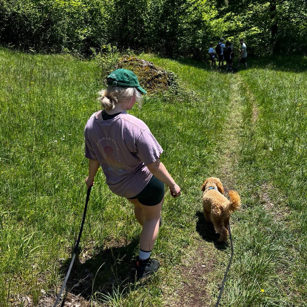 Hundetreffen-Hundefreund gesucht-Profilbild