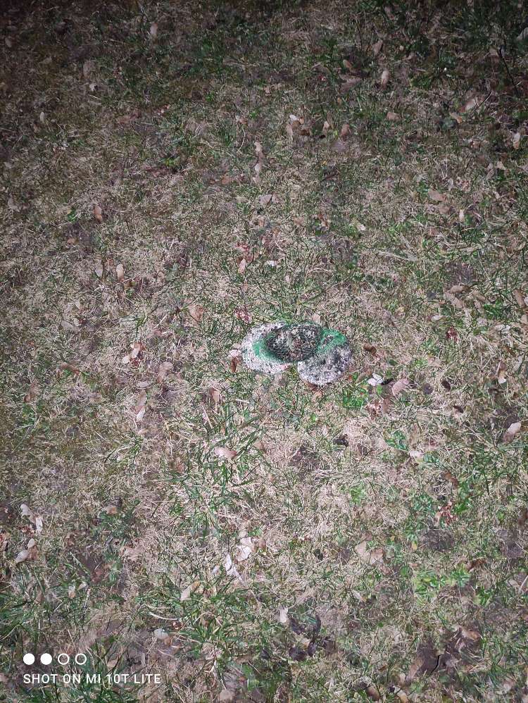 Giftköder-Vermute Giftköder-Profilbild