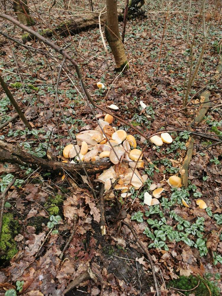 Giftköder-Brötchen in den Büschen-Profilbild