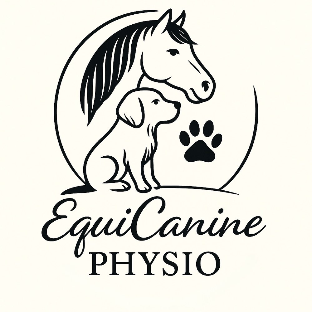 Hundetreffen-🐾 Physio Walk - gesunder Hund,entspannter Spaziergang 🐾-Profilbild