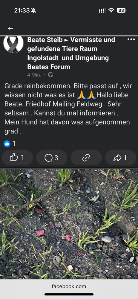Giftköder-Unklare Substanz-Profilbild