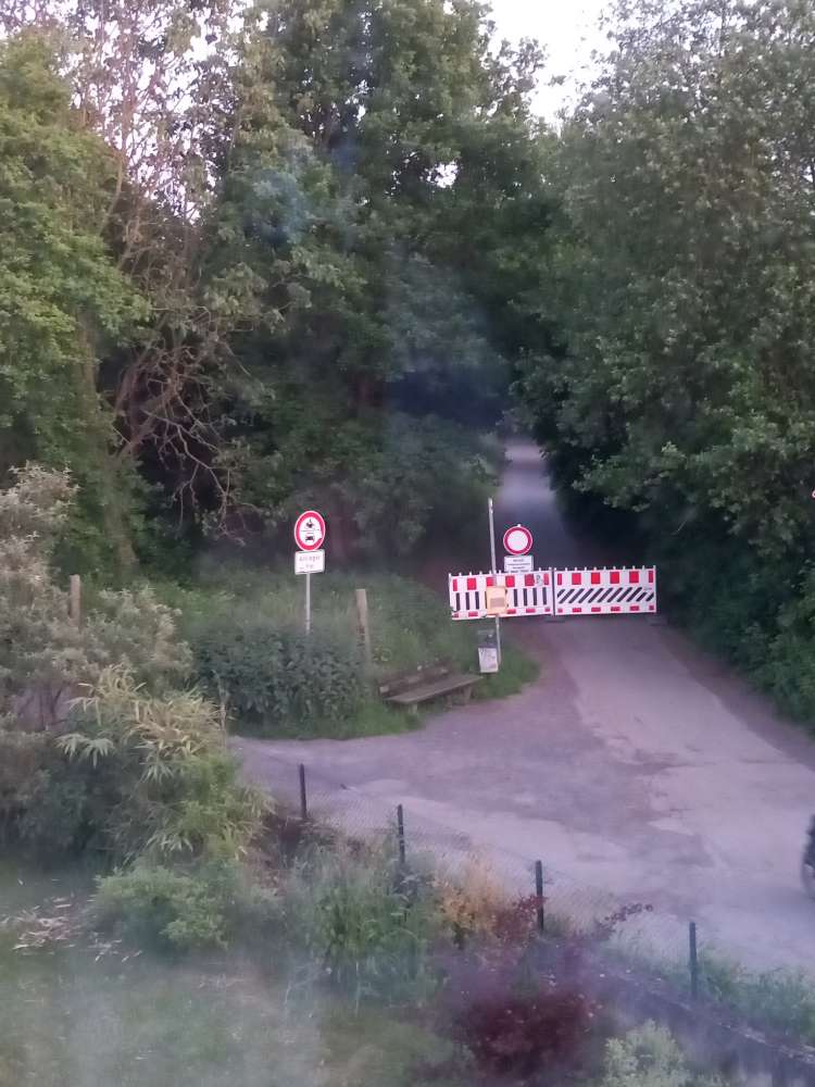 Giftköder-Eichenprozessionsspinner-Profilbild