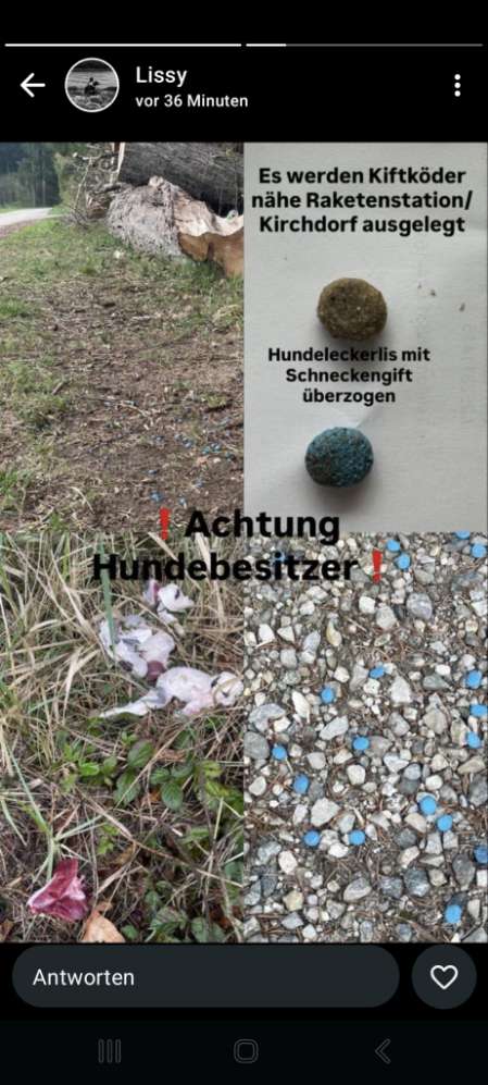 Giftköder-Giftköder-Profilbild