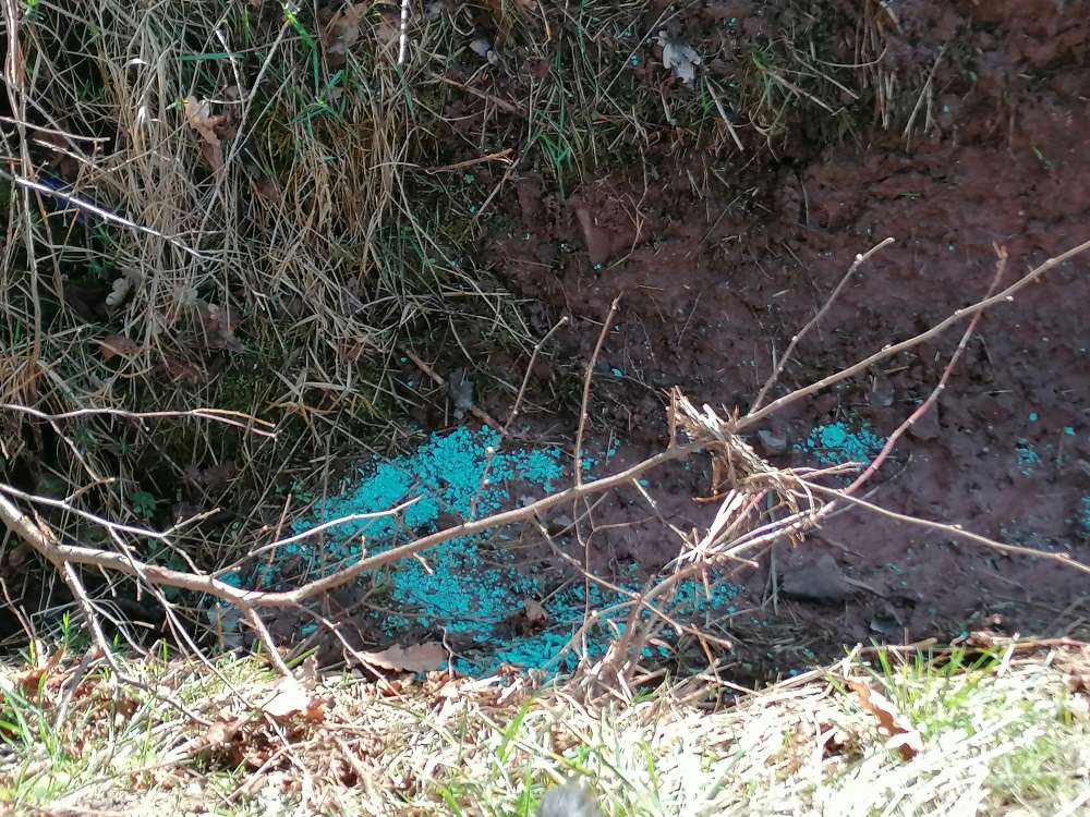 Giftköder-Blaues (Rattengift?)!-Profilbild