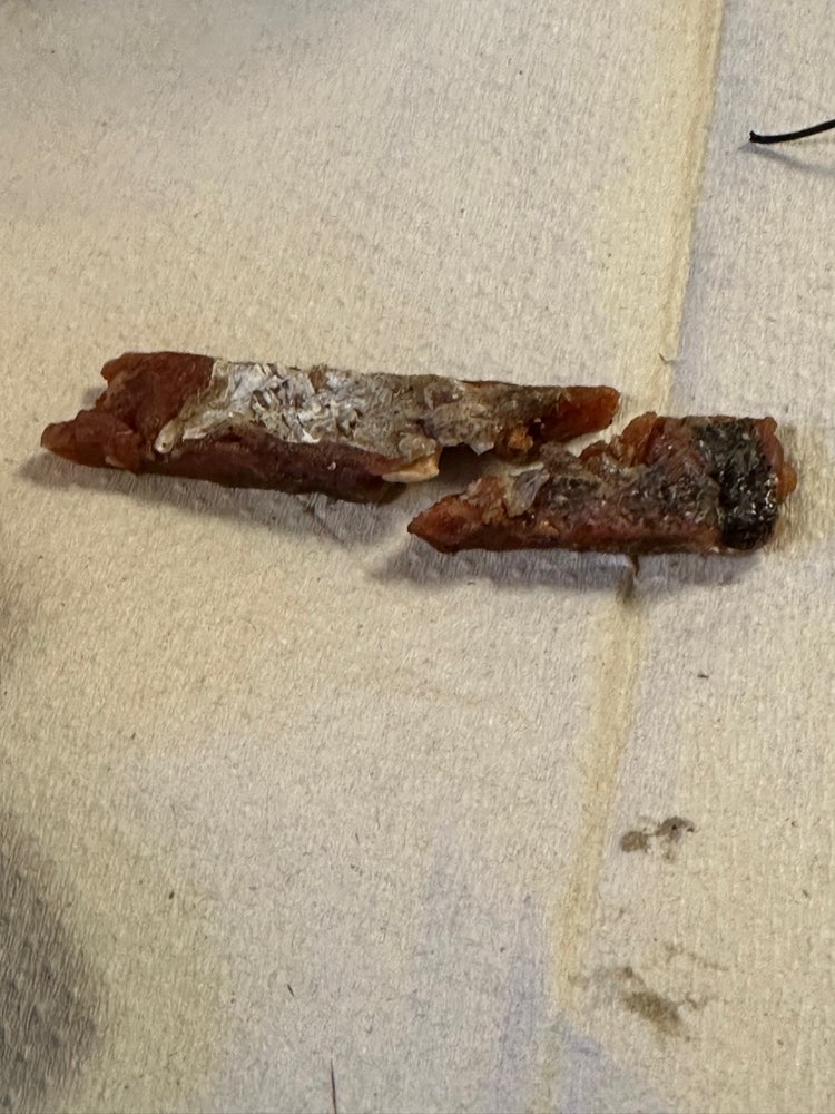 Giftköder-Evtl. Giftköder-Profilbild