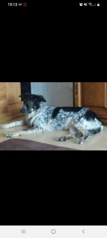 Suchmeldung-Nelly-Profilbild