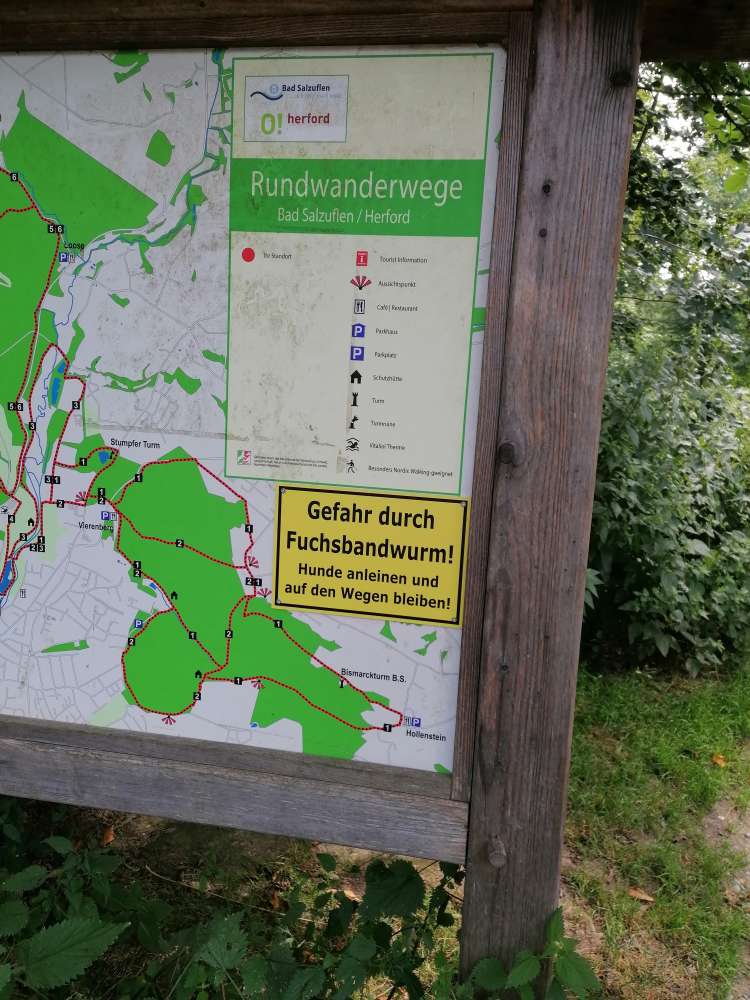 Giftköder-Fuchsbandwurm-Profilbild