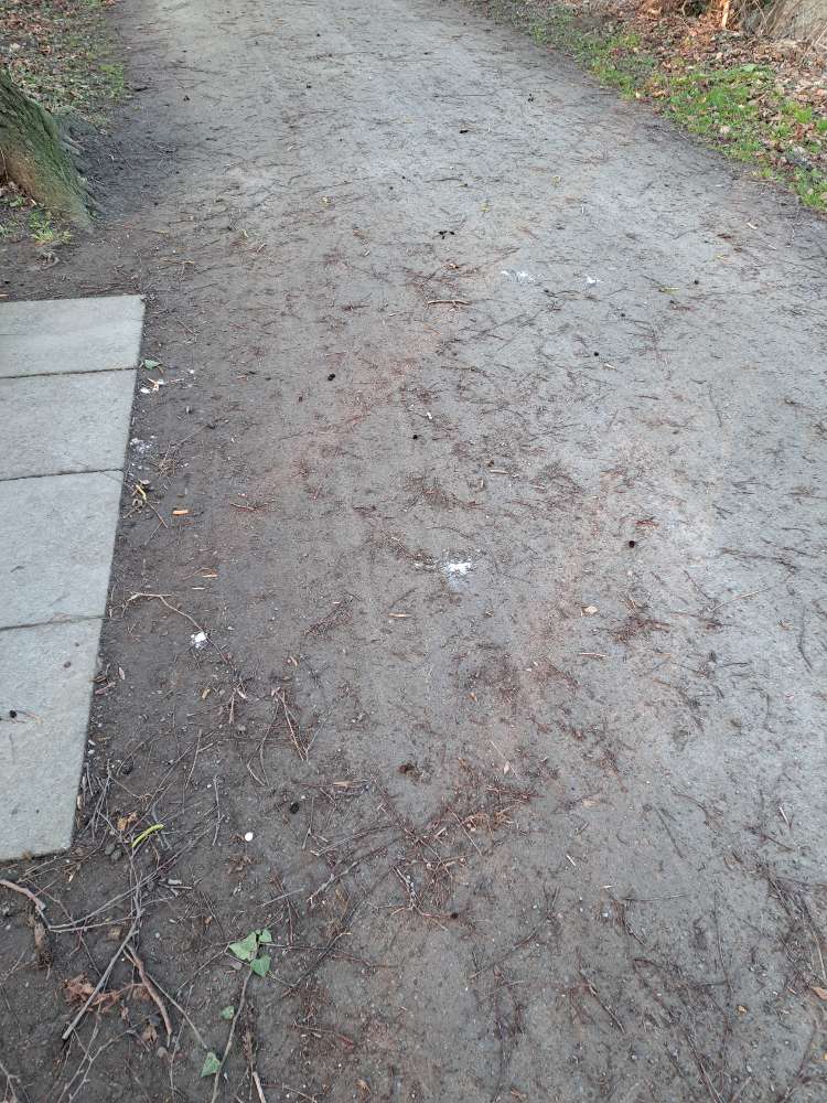 Giftköder-Vorsicht Tabletten; ganz und zertreten..-Profilbild