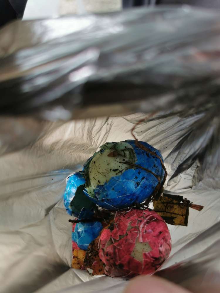 Giftköder-Möglicher Giftköder im Bauernwald-Profilbild