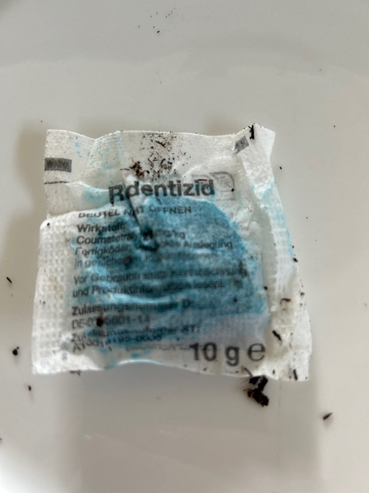 Giftköder-Rattengift-Profilbild