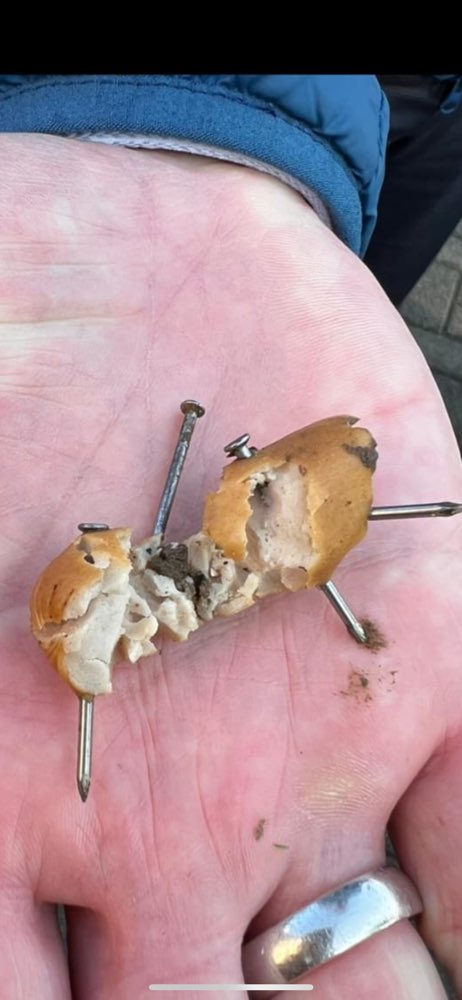 Giftköder-Nägel in Fleisch-Profilbild