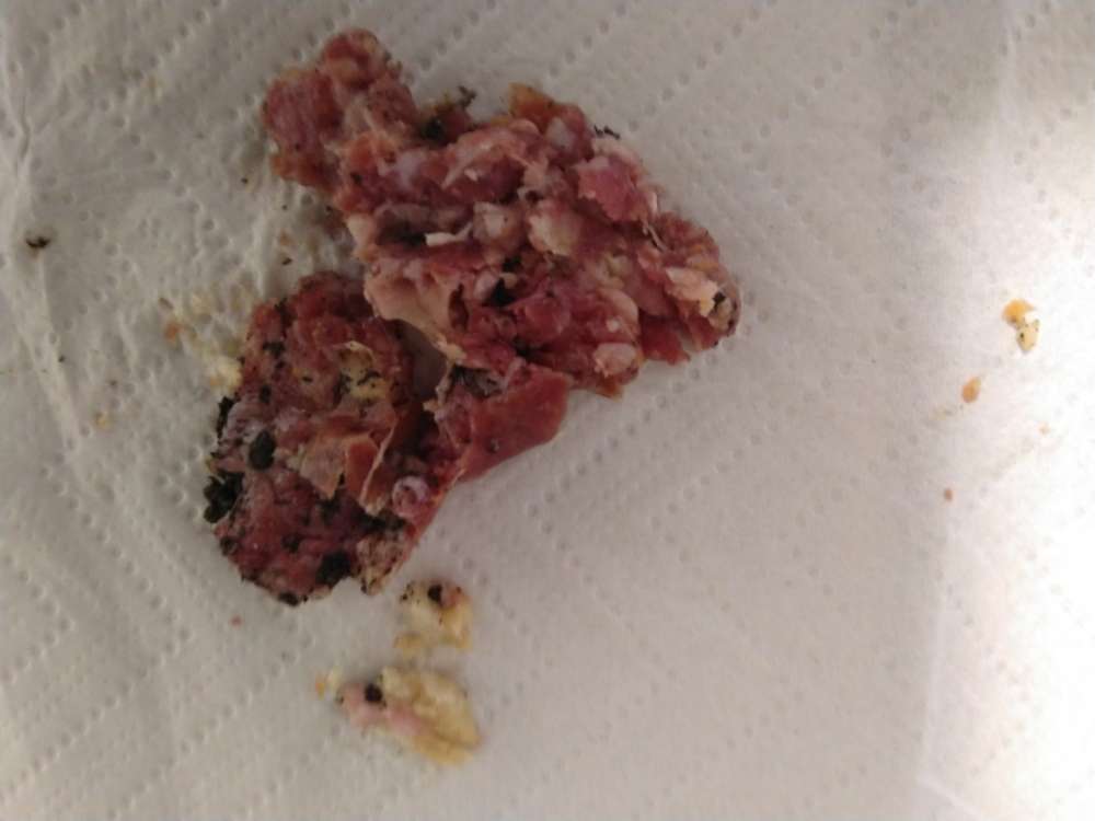 Giftköder-Möglicher Giftköder-Profilbild