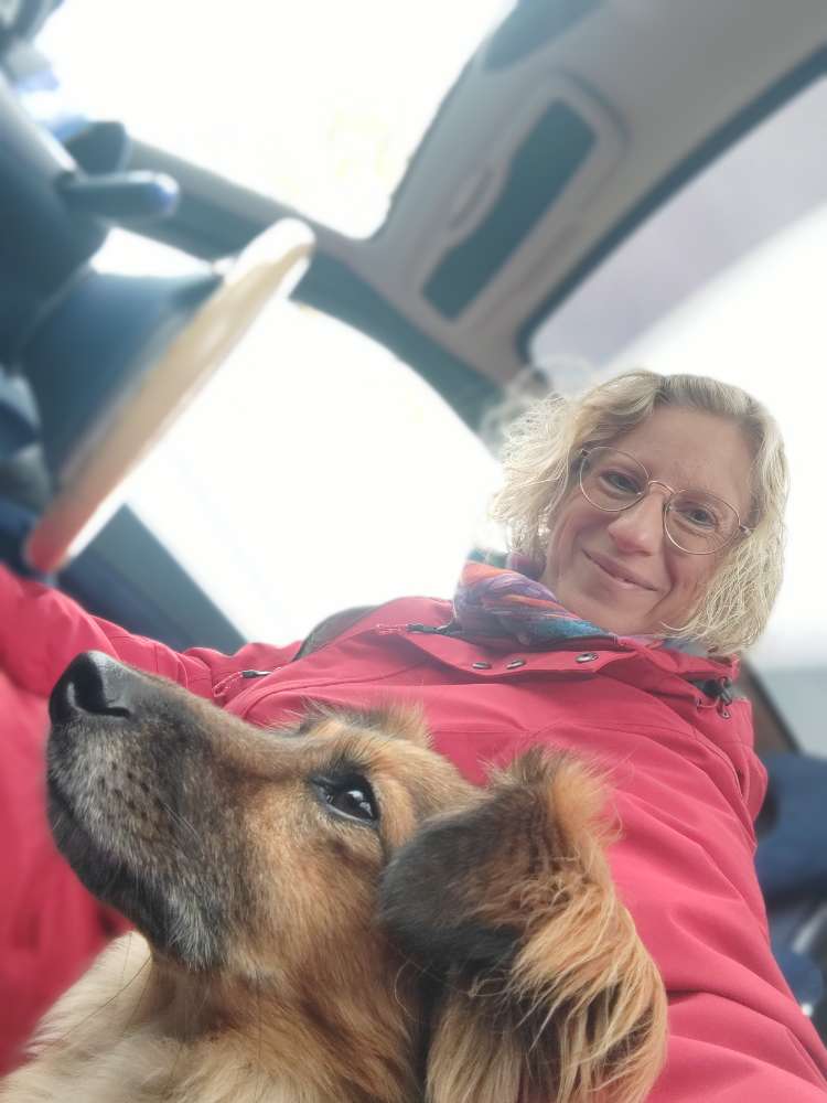 Hundetreffen-Nachmittagsspaziergang-Profilbild