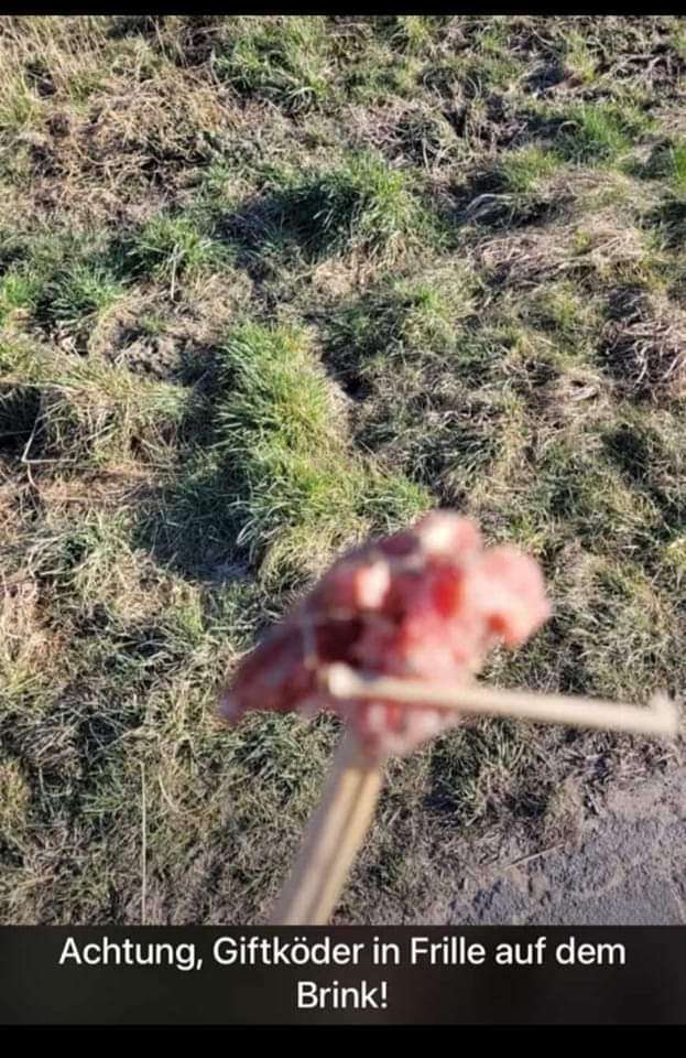 Giftköder-Giftköder-Profilbild