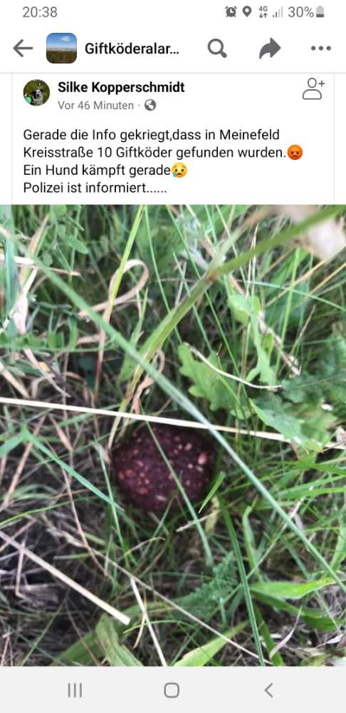 Giftköder-Giftköder in Meinefeld-Profilbild