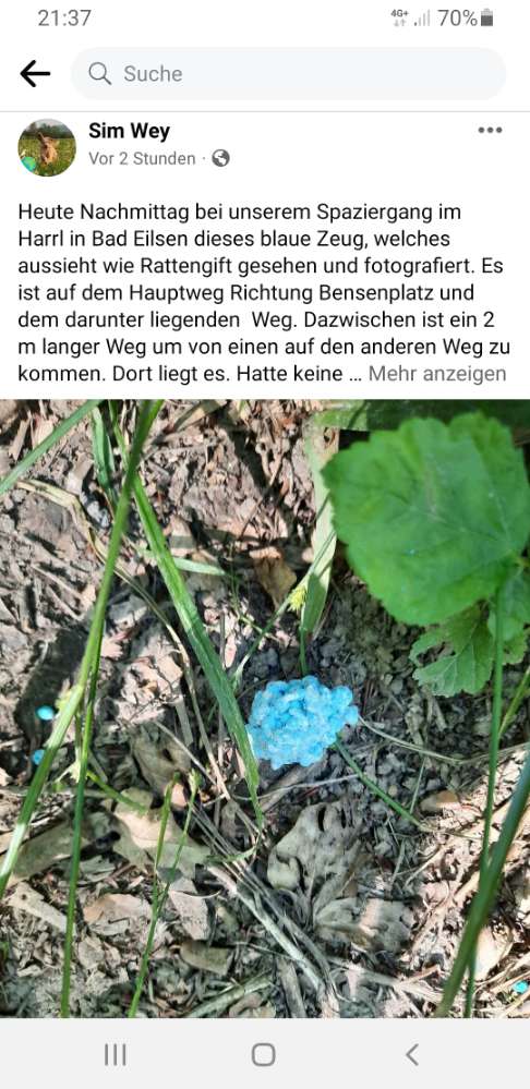 Giftköder-Blaukorn oder Rattengift-Profilbild