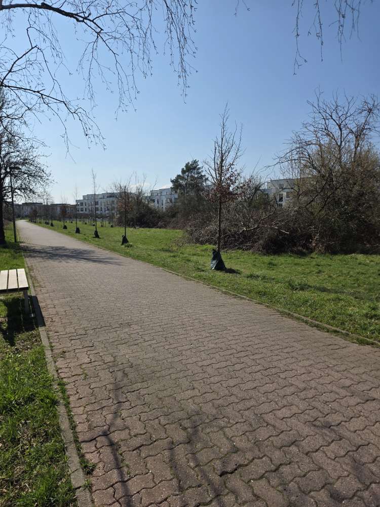 Giftköder-Vermutlich Cannabiswasser verschüttet...-Profilbild