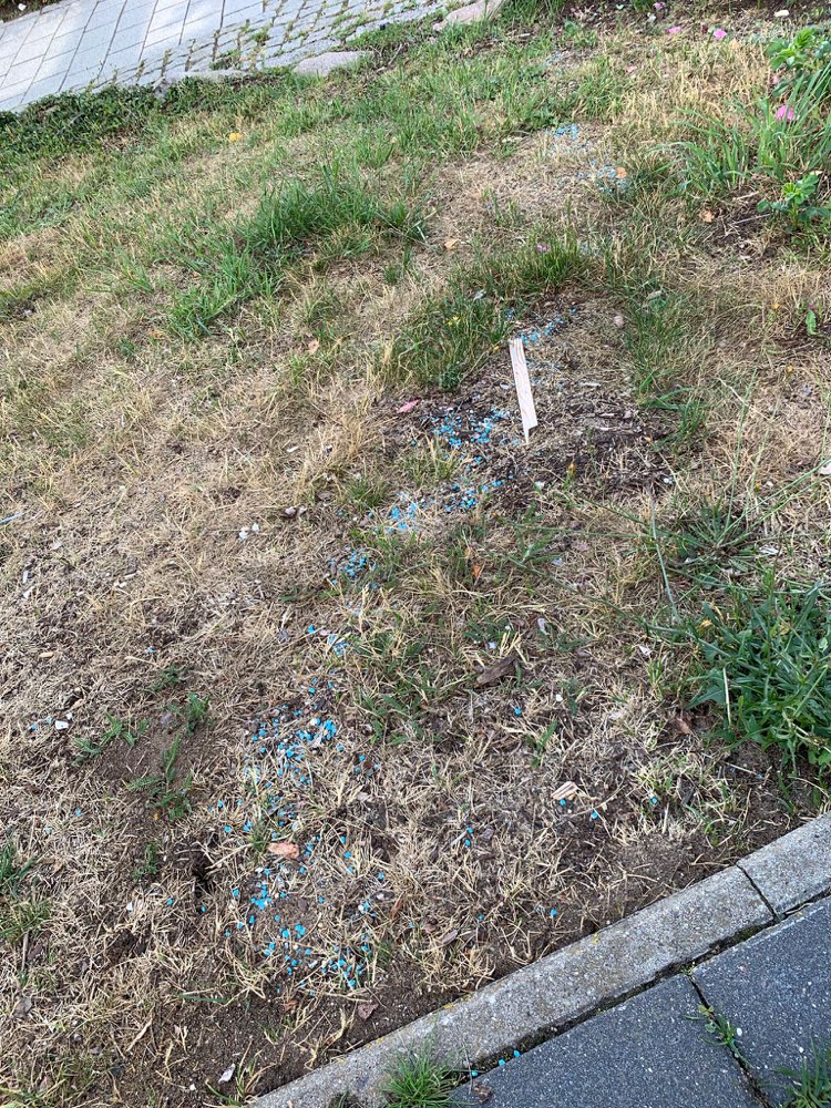 Giftköder-Giftköder-Profilbild