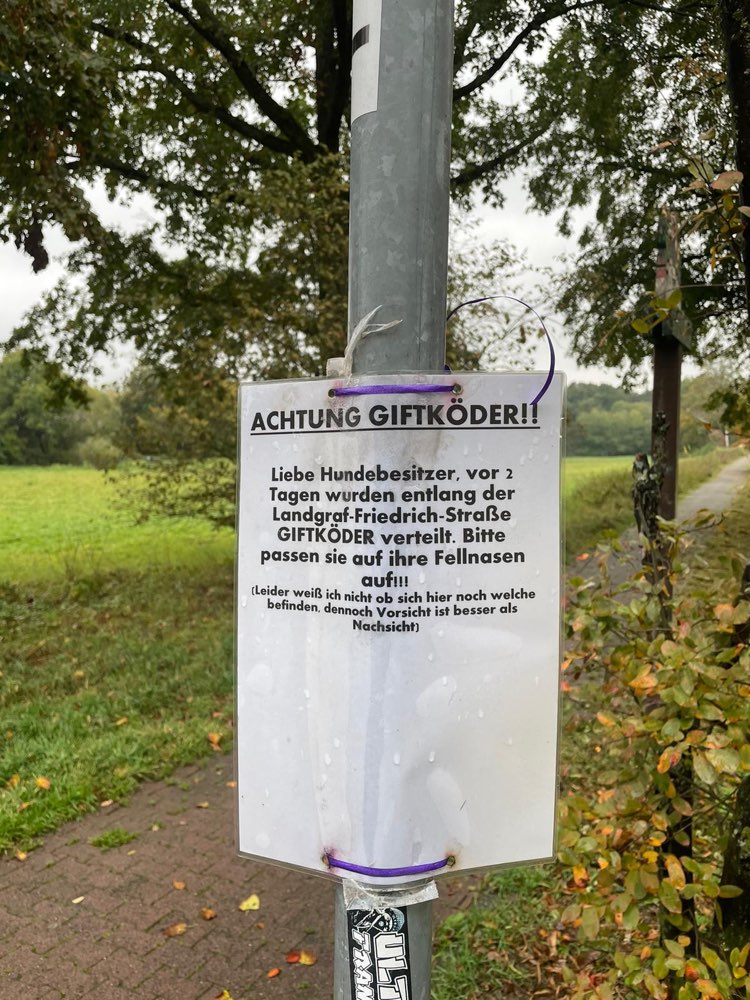 Giftköder-Giftköder-Profilbild