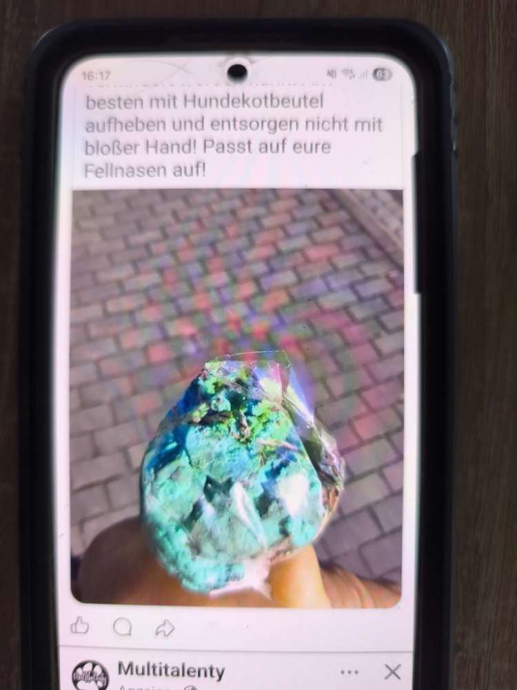 Giftköder-Giftköder gestern-Profilbild