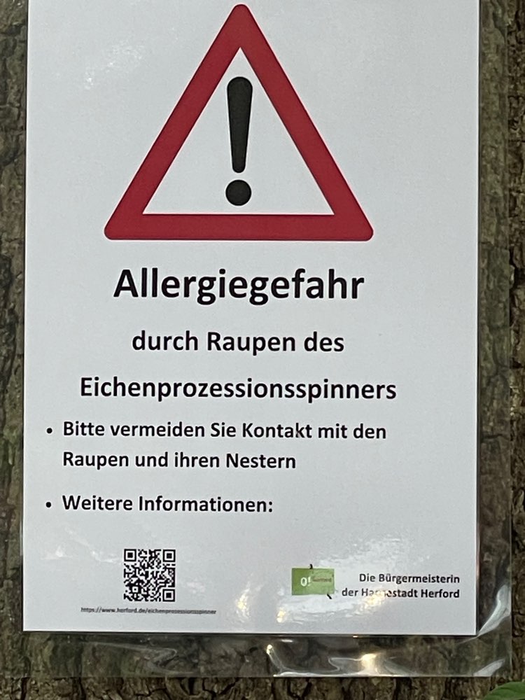Giftköder-Eichenprozessionsspinner-Profilbild