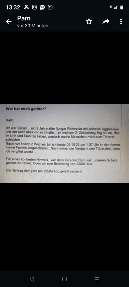 Giftköder-Gift-Profilbild