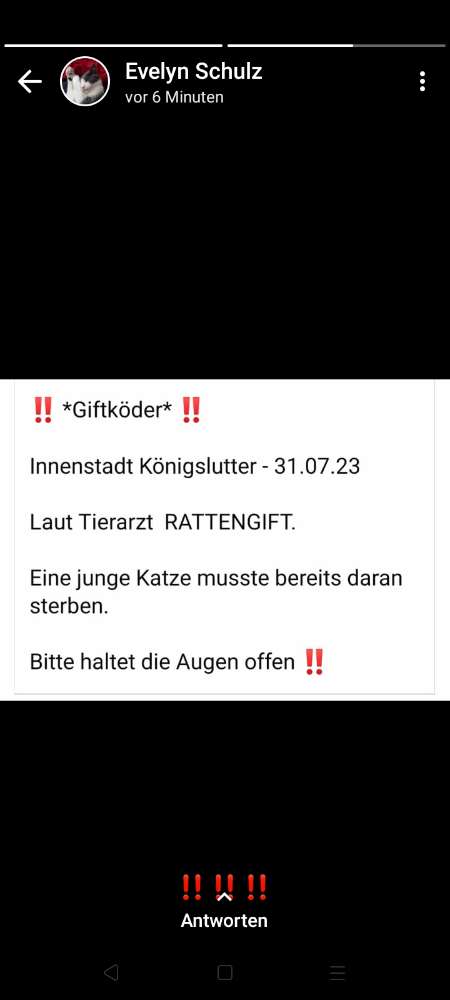 Giftköder-Giftköder-Profilbild