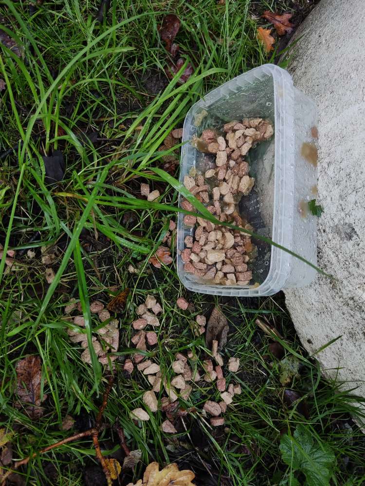 Giftköder-Futter (bereits entsorgt!)-Profilbild