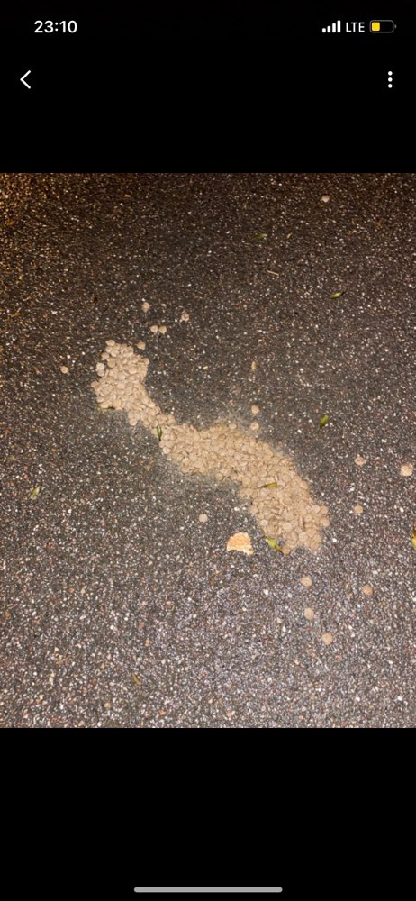 Giftköder-Giftköder-Profilbild