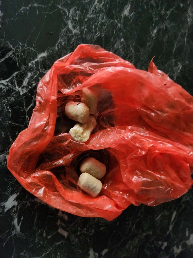 Giftköder-Giftköder auslegung-Profilbild