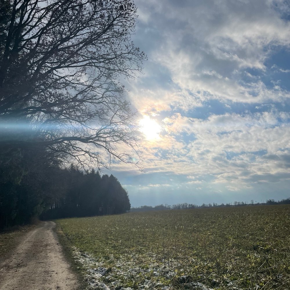 Hundetreffen-Spazieren gehen in Schärding und Umgebung :)-Profilbild