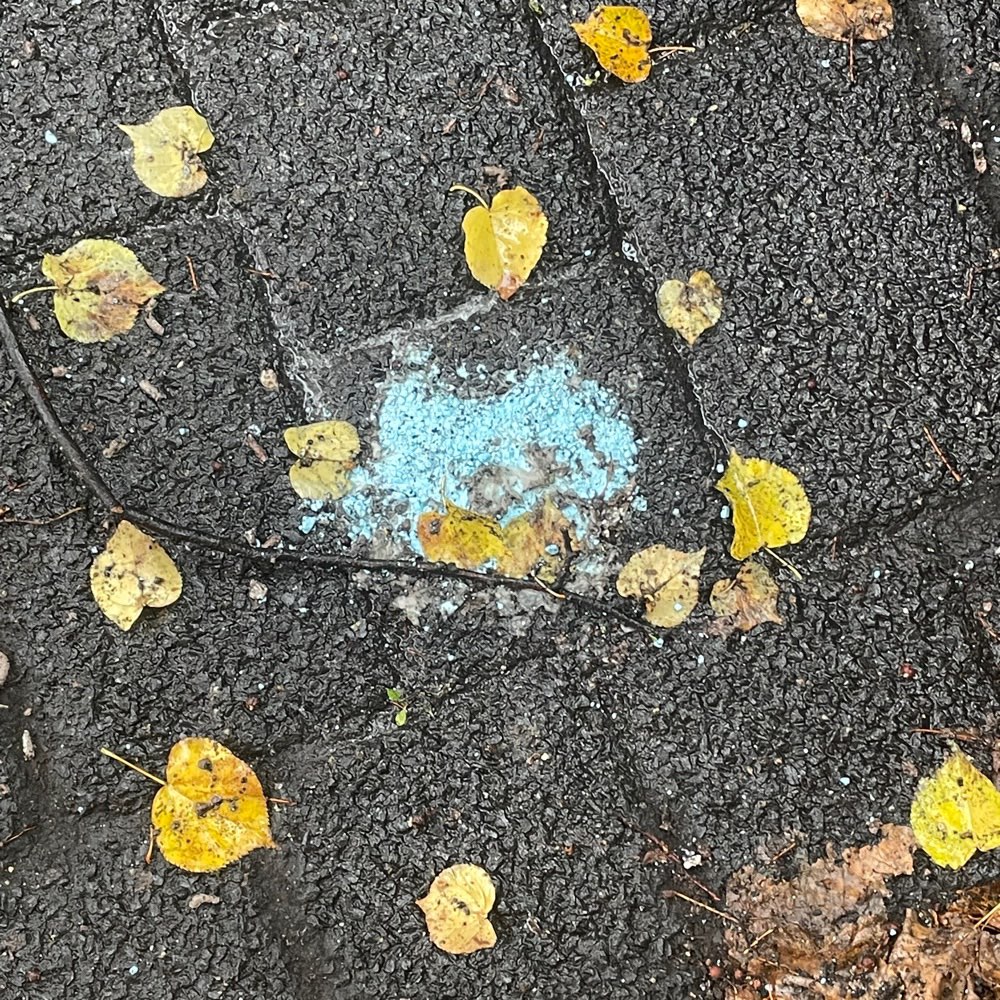 Giftköder-Blaues Pulver / Blauer Körner-Profilbild