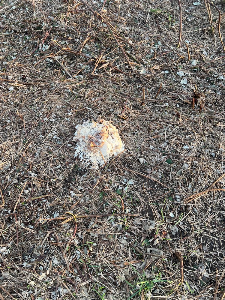 Giftköder-Essen-Profilbild