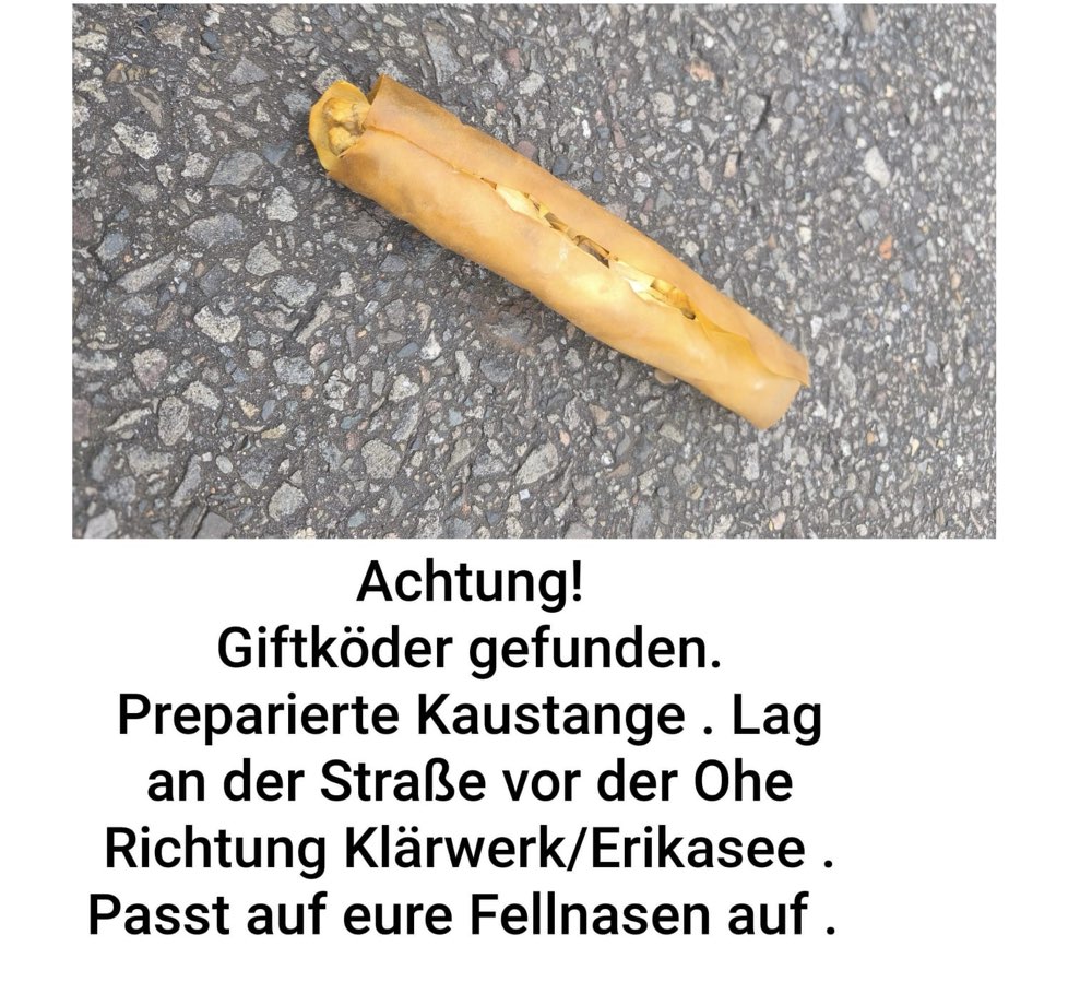 Giftköder-Giftköder-Profilbild