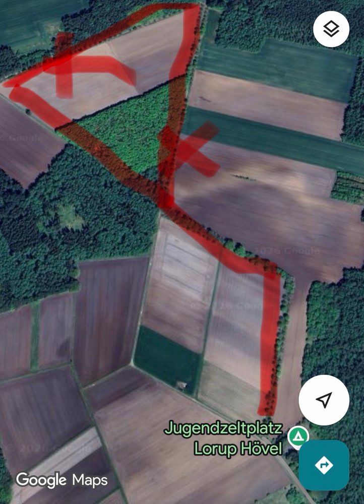 Giftköder-Eichen-Prozessionsspinner-Profilbild