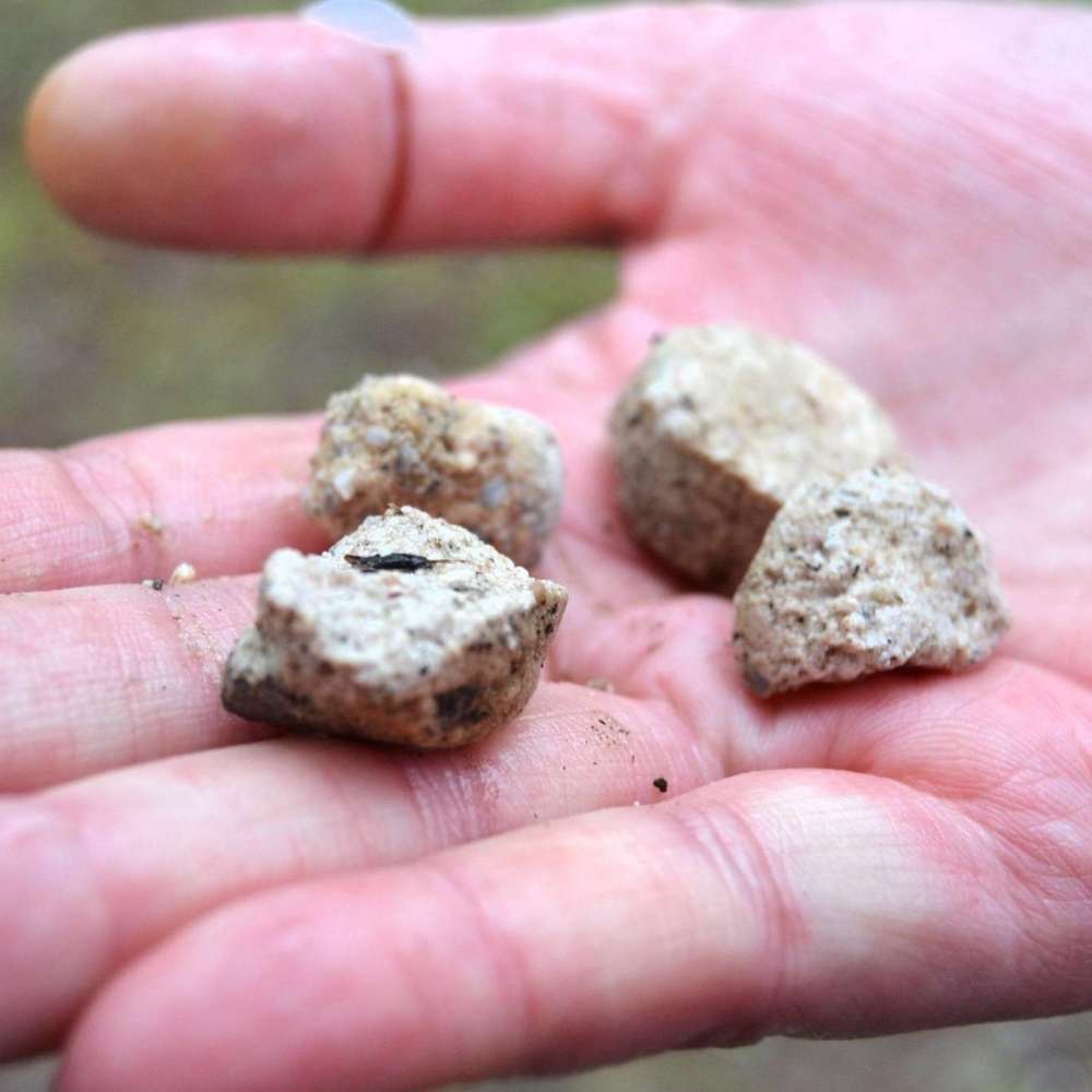 Giftköder-Möglicher Giftköder-Profilbild