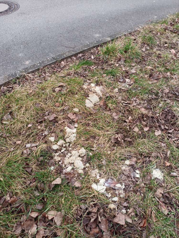 Giftköder-Undefinierbares-Profilbild