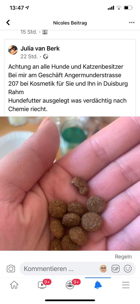 Giftköder-Achtung Giftköder-Profilbild