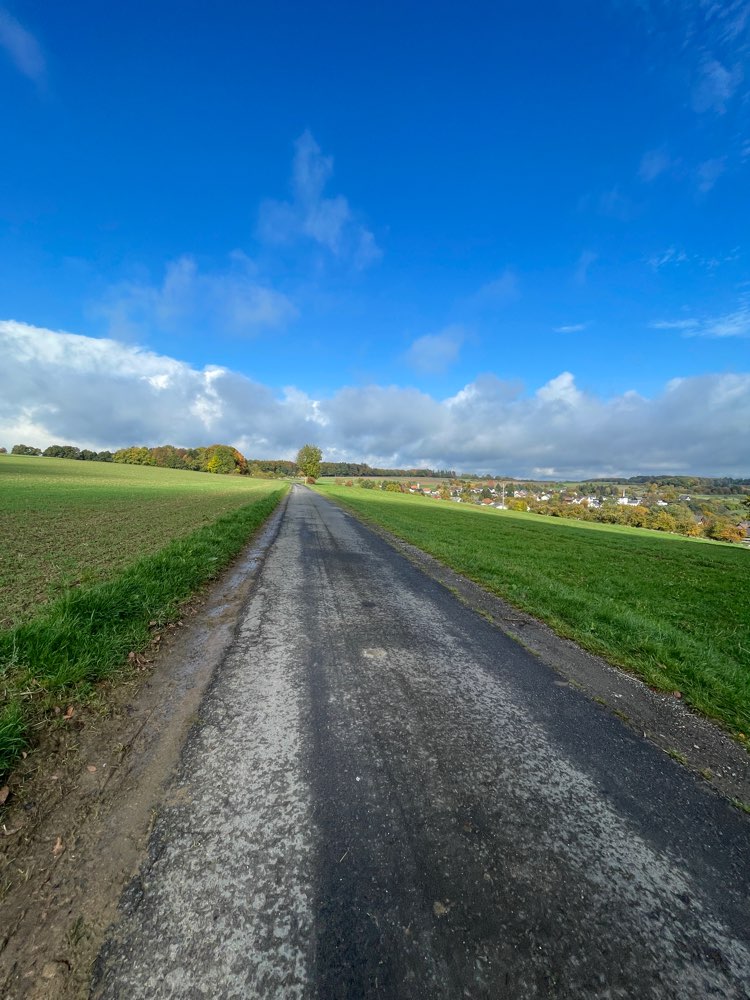 Hundetreffen-Spiel und Wandergruppe "Westerwald"-Profilbild