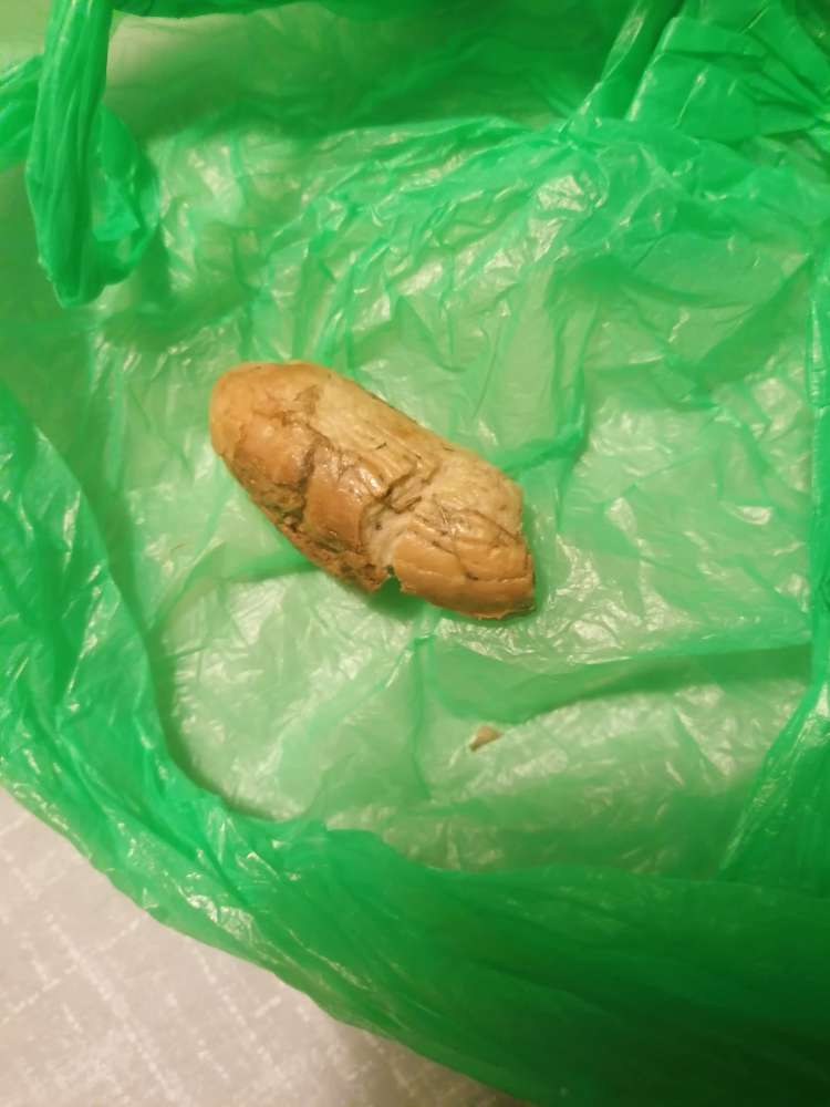 Giftköder-Möglicher Giftköder-Profilbild