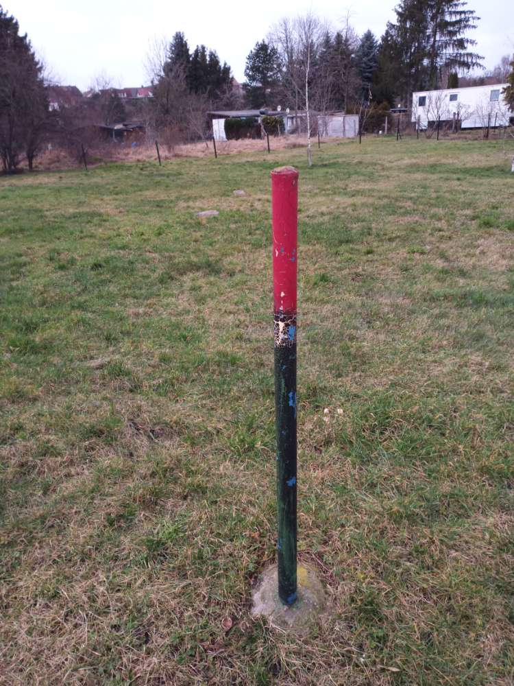 Giftköder-Verteiltes Trockenfutter-Profilbild